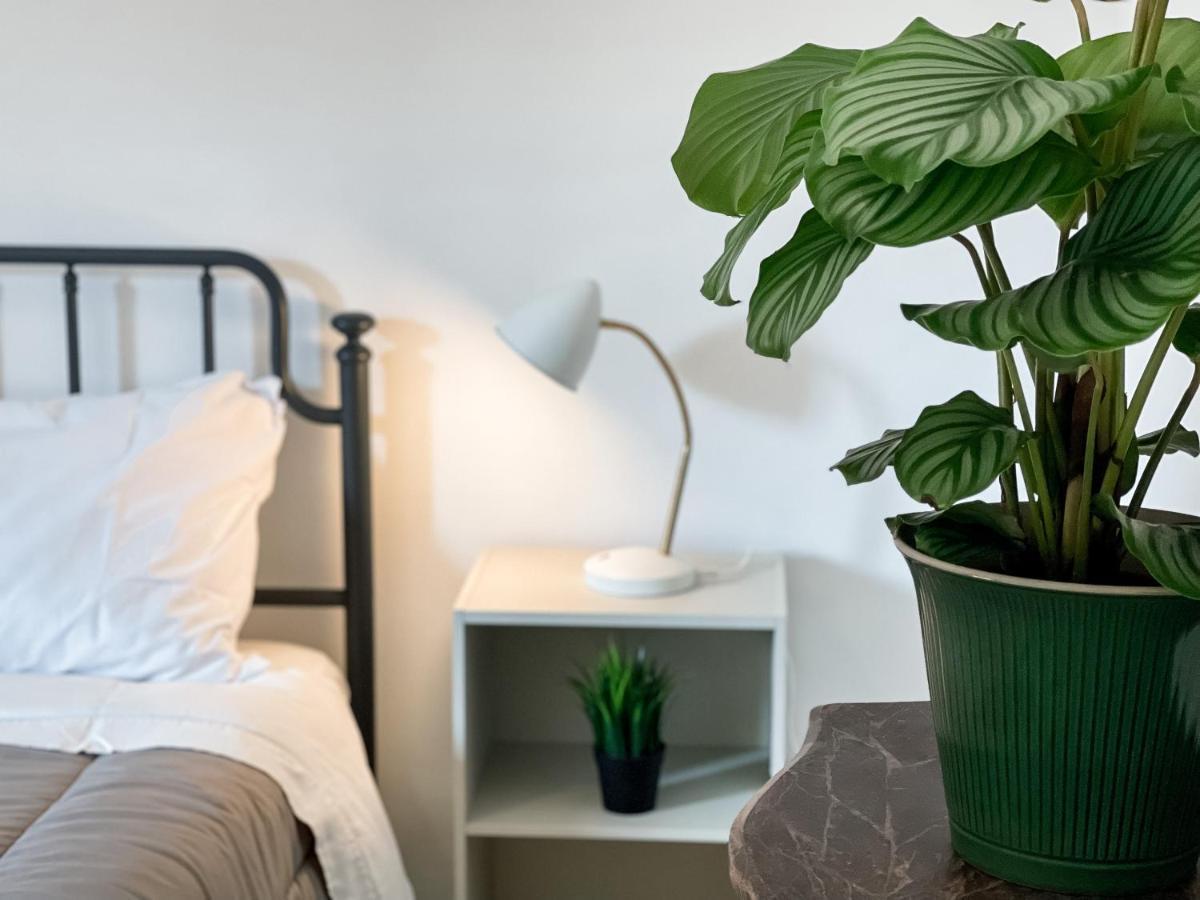 로마 Sestio House 아파트 외부 사진